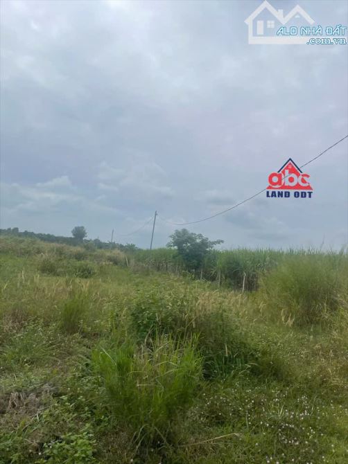 D048 Cần bán 4.7 sào đất Hưng Thịnh- Trảng Bom giá 6ty Tl Diện tích tổng 4.769m2 - 6