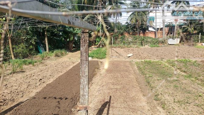 Bán đất thổ cư,TDP 5, Thị trấn Mđrăk, cách QL26 40m.diện tích (10x22.3)m2, hướng đông nam. - 6