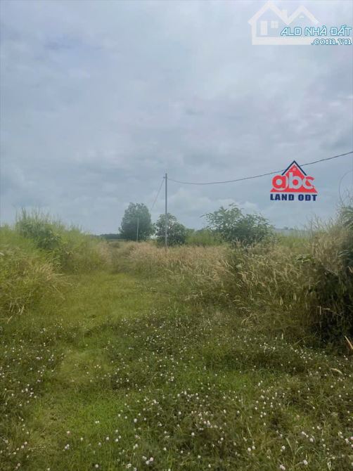 D048 Cần bán 4.7 sào đất Hưng Thịnh- Trảng Bom giá 6ty Tl Diện tích tổng 4.769m2 - 7