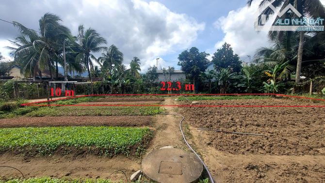 Bán đất thổ cư,TDP 5, Thị trấn Mđrăk, cách QL26 40m.diện tích (10x22.3)m2, hướng đông nam. - 7