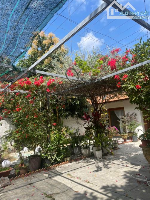 Cần bán gấp căn biệt thự xinh đẹp 647m2 tại Vĩnh Hiệp, Nha Trang, Khánh Hòa - 7