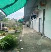 Bán 9 phòng trọ, 1 kiot gần chợ Lái Thiêu, 594m2 đất giá 13 tỷ 990