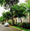 Nhà mặt tiền Quận 7, Phú Thuận, 3 tầng, 5x18m, HXH, chỉ 12 ty