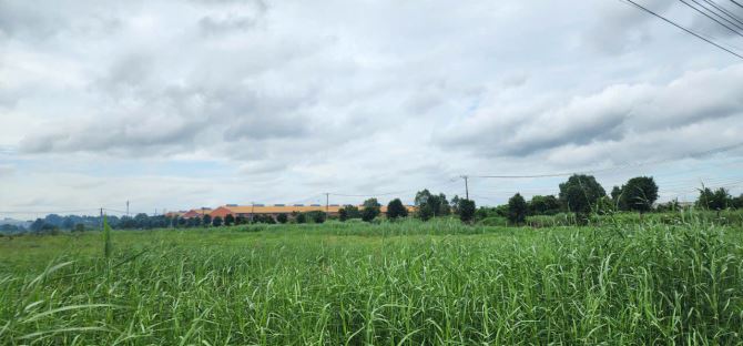 BÁN ĐẤT CÔNG NGHIỆP SKC TẠI TRÀ VINH 10.000m2, 20.000m2, 30.000m2 - SỔ SÁCH HOÀN CHỈNH