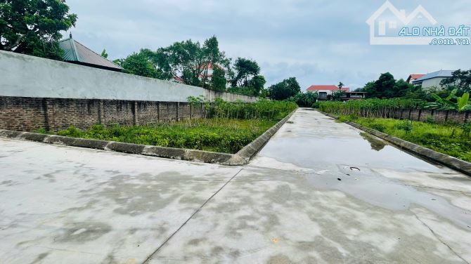 Chính chủ bán đất Đan Tảo, Tân Minh lô góc 86m2 thông, ô tô tránh nhỉnh 2 tỷ