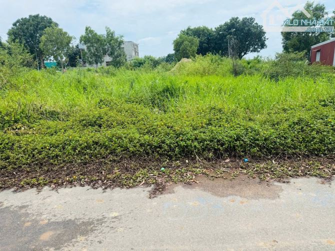 Bán đất Long Điền gần bùng binh 2 con rồng  (Cách trung tâm hành chính Bà Rịa 3km