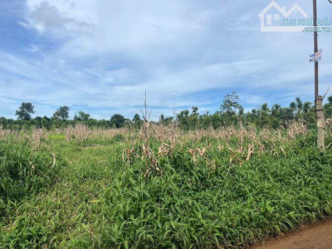 🅿️❇️Đất Kotam, Eatu, phường Tân An hẻm cấp 1 Quốc Lộ 26, 750 triệu, 5x25m❇️