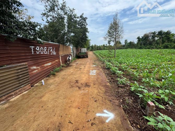💥 BÁN ĐẤT THÔN 3 CƯ SUÊ ĐƯỜNG BÊ TÔNG GIÁ RẺ THUỘC CƯMGAR