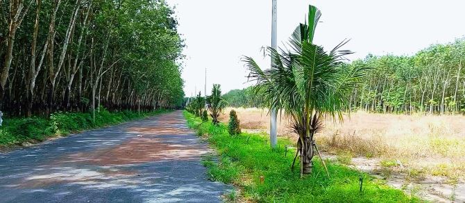 500m Đất nền Dt751 Minh Hưng, Minh Long, gần becamex chơn thành gần chợ tâm Bình