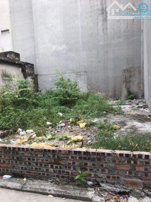 Bán đất Trâu Quỳ/Gia Lâm 43m2 mtien 4m đường nhựa oto thông Ngô Xuân Quảng,khu 31ha