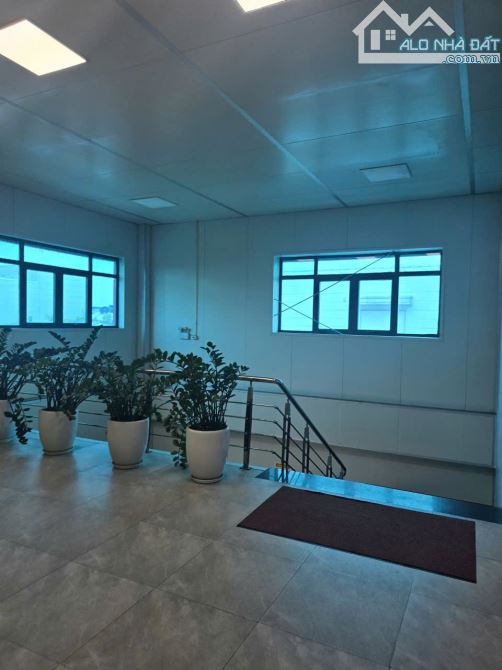 Cần chuyển nhượng nhà máy tại khu công nghiệp Vân Trung Việt Yên