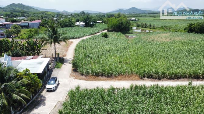 💥B.án nhanh 2 lô đất vườn Diên Lâm (Diên Đồng) ngay khu bàn cờ dân cư - 1138m2💥