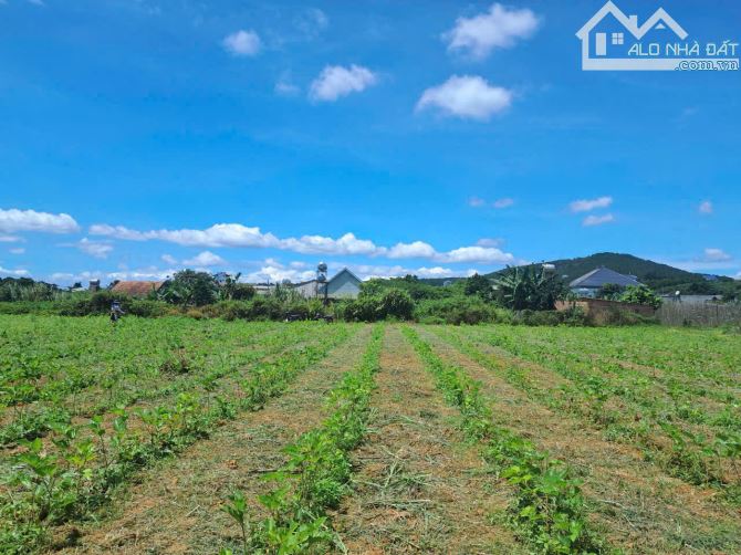 1TY1 CÓ 460M2 NGHỈ DƯỠNG CÁCH TP ĐÀ LẠT 25P