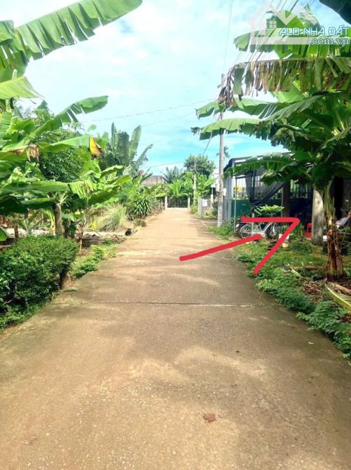 DT 5x20, ĐƯỜNG BÊ TÔNG KHU DÂN CƯ ẤP TRÀNG AN THANH BÌNH TRẢNG BOM  BÌNH