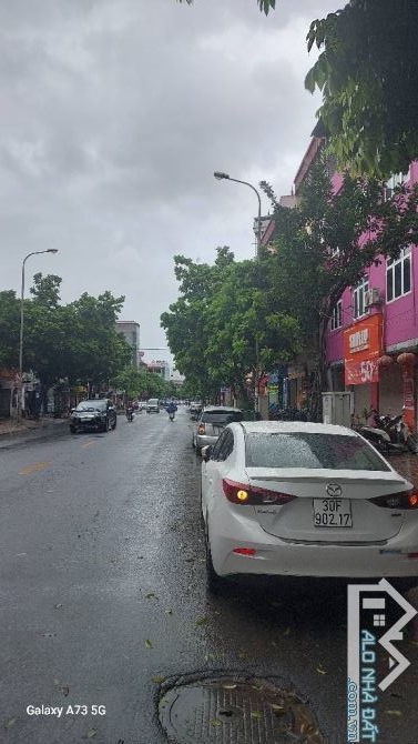 NGÔ XUÂN QUẢNG TRÂU QUỲ GIA LÂM HÀ NỘI