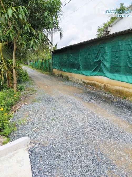 Đất Mt đường Rạch Giồng phường Khánh Hậu TP Tân An