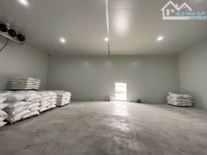 XT546 Cho thuê kho lạnh kèm nhà xưởng Gần Trạm thu phí Thiện Tân  --- 65tr/ tháng