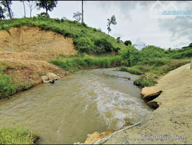 Bán 25.000m2 2.5 heacta Tà Năng ôm suối Lớn  Giá Siêu Re