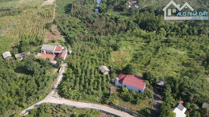Siêu hiếm! Lục Nam Bắc Giang cần bán nhà xưởng 6000m2, 1200mTc, 5,2 tỷ ô tô vào đất