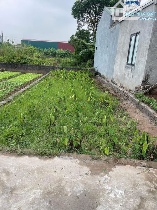 💯💯Rẻ nhất đất Thị Trấn Phú Xuyên - HN 👉đất tại tiểu khu Đại Nam   ⛔️Diện tích: 53.9M2