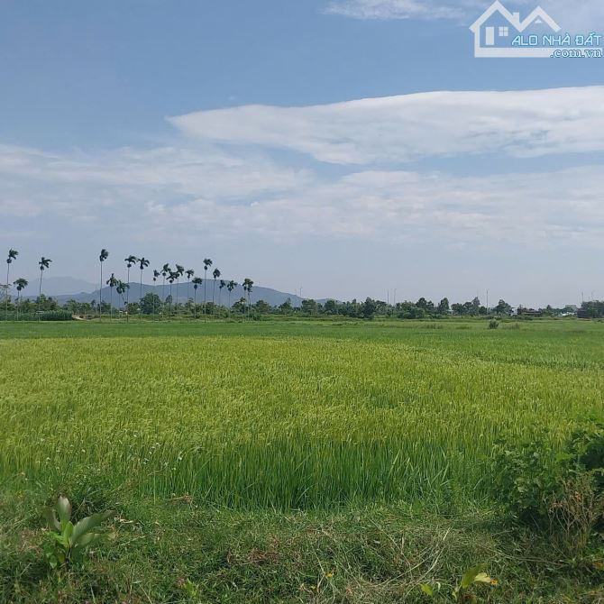 ⭐ 📌📌📌LÀM VIỆC TRỰC TIẾP GIÁ TỐT !!! Bán lô đất đẹp lê sơn hòa tiến