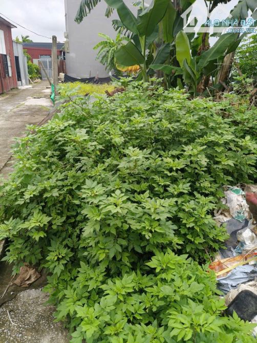 Bán lô đất mặt đường Đồng Lập , Đồng Hòa