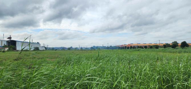 BÁN ĐẤT CÔNG NGHIỆP SKC TẠI TRÀ VINH 10.000m2, 20.000m2, 30.000m2 - SỔ SÁCH HOÀN CHỈNH - 1
