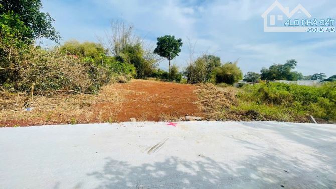 485m2 Đất Xã Đất Đỏ Ngay Gần Trung Tâm Hành Chính 💰Giá Chỉ 1,7 Tỷ  📐Dt: ngang 7.3x38m - 1