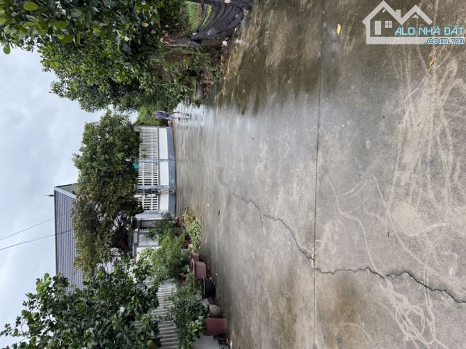 CHÍNH CHỦ GỬI BÁN LÔ GÓC PHƯỜNG HỒ -Ô TÔ 7C VÀO ĐẤT ,CẠNH TRƯỜNG HỌC GẦN QL 38 - 1
