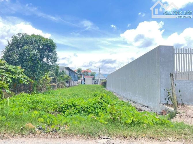 Đất bán mặt tiền nhựa cách Nguyễn Thị Lắng 100m dân cư đông 5x31 tổng 156m2 full thổ cư - 1