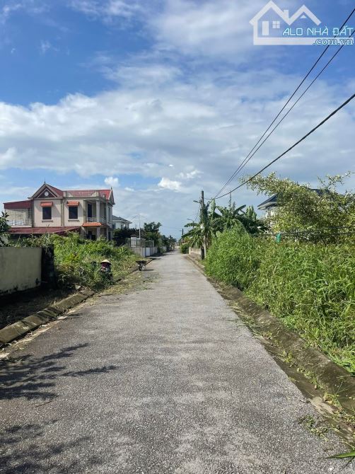 Bán lô đất to mặt tiền rộng làm nhà vườn hay chia lô đều đẹp tại Bàng La, Đồ Sơn - 1