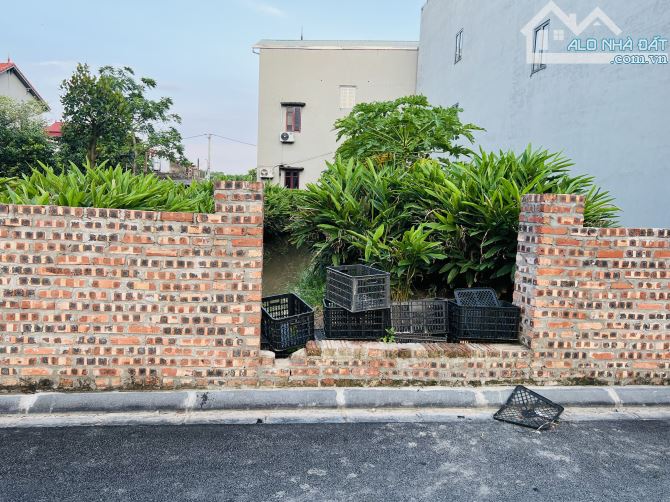 BÁ.N HOA HẬU LÔ GÓC PHÂN LÔ ĐƯỜNG THÔNG Ô TÔ TRÁNH 315M VÂN NỘI ZÁ RẺ - 1