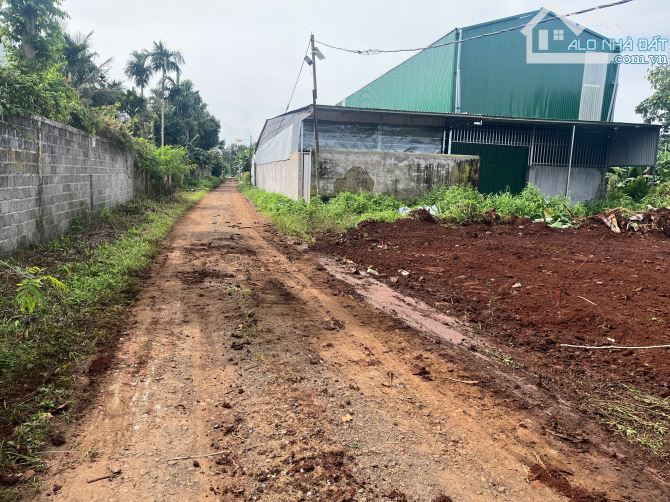 🅿️❇️Đất Kotam, Eatu, phường Tân An hẻm cấp 1 Quốc Lộ 26, 750 triệu, 5x25m❇️ - 1