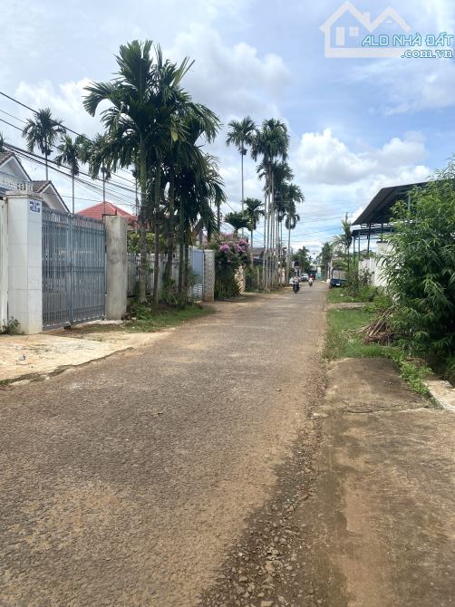 “Bán đất đường 2B sau lưng chợ Đạt Lý – 5x39m, TC full, giá 2 tỷ 1” - 1