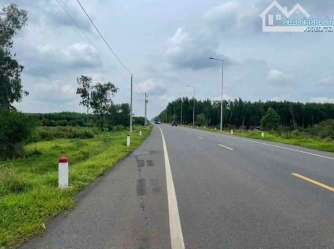 》B.án 1ha396m2 phủ hồng có 350m.Mặt Tiền Đường Hương Lô 10 ( Mặt Tiền Đường Vành đai lV). - 1