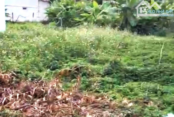 Bán Đất Hẻm Ô Tô-Linh Xuân-226m2(ngang 8m x dài 28m)-Nhỉnh 9 Tỷ (Thương Lượng) - 1