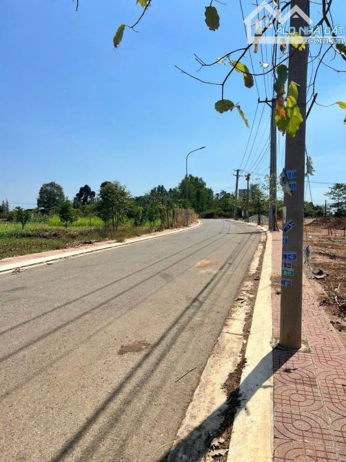 💰 Bán gấp đất đối diện chung cư 9 tầng TP BÀ RỊA – giá chỉ 1,47 tỷ, chính chủ FO - 1