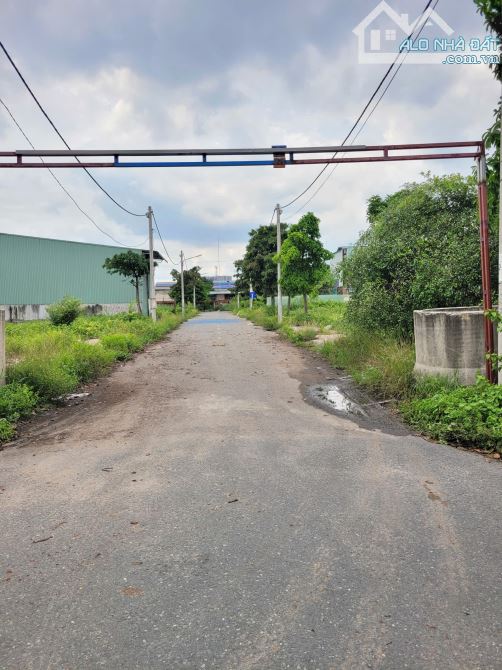 2,65Tỷ TL🔥Bán đất 67,2m2 KDC cách đường Bình Hòa 13 chỉ 50m, p.Bình Hòa, Tp.Thuận An - 1