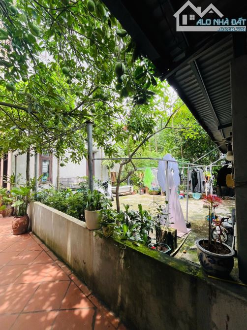 Bán Đất Tứ Liên Tây Hồ - 50m Mặt tiền 6.24m - Ngõ rộng 2.7m - 20m ra mặt phố ô tô - 1