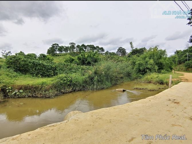 Bán 25.000m2 2.5 heacta Tà Năng ôm suối Lớn  Giá Siêu Re - 1