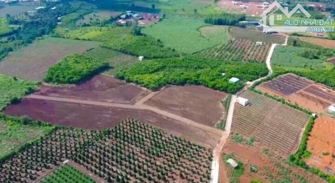 Bán quỹ đất nông nghiệp lớn Tại Hàm Thuận Nam - 1