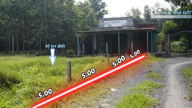Đất Gò Dầu, Tay Ninh, full thổ cư sát khu công nghiệp, gần nút cao tốc chỉ 359tr - 1