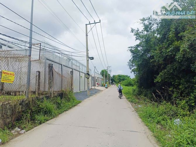 Lô góc 2 Mặt tiền Đối diện Trường Đại Học & Bệnh viện Tâm Anh - Thanh Phú Bến Lức - 1