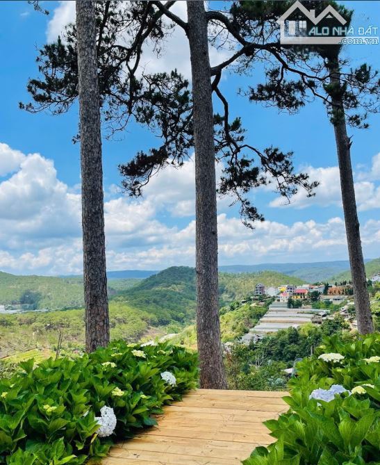 Bán Đất Tặng View Triệu Đô 748m2, 48 tỷ, Hoàng Hoa Thám - 1