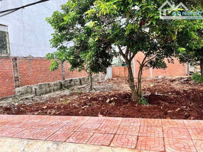 ĐẤT HẺM ĐƯỜNG NHỰA 25 MAI THỊ LỰU GẦN NGAY TRƯỜNG CAO ĐẲNG VÀ ĐẠI HỌC TÂY NGUYÊN - 1
