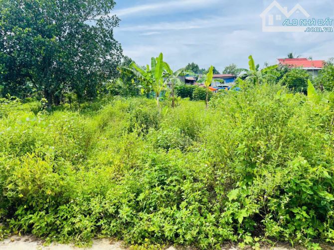 Đầu tư đất 400m² Khánh Đông tách 2 lô, gần TL8 chỉ 499tr bao sổ - 1