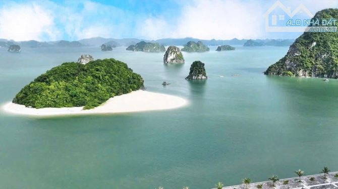 Tặng xe VF3 khi mua căn view biển Crystal Vân Đồn từ 2,3 tỷ - 12