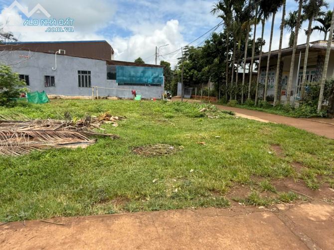 Cần bán lô đất góc 2 mặt tiền đường N10-D9, Buôn Ju (P. Tân An), vị trí đẹp - 1