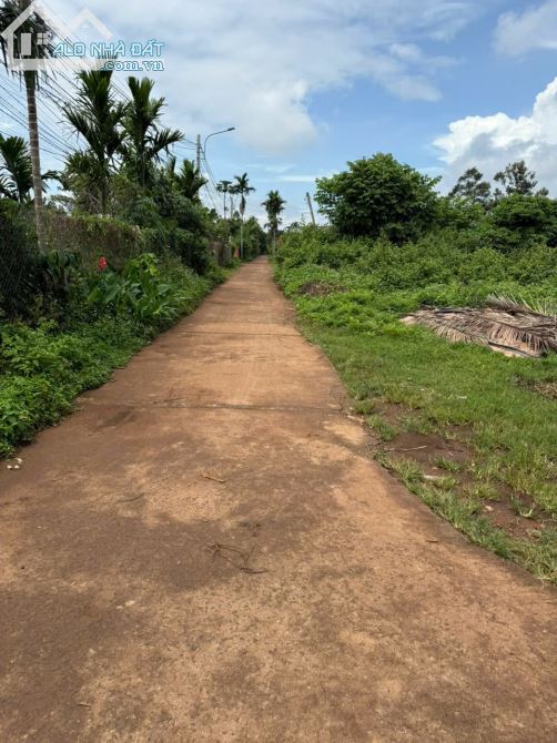 Cần bán lô đất góc 2 mặt tiền đường N10-D9, Buôn Ju (P. Tân An), vị trí đẹp - 3