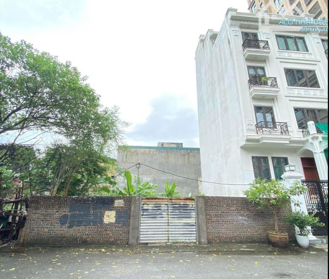 🇻🇳🇻🇳🇻🇳 BÁN ĐẤT KHU BIỆT THỰ VƯỜN ĐÀO - 175M² - MT11M - 99 TỶ - ẢNH THẬT - 2
